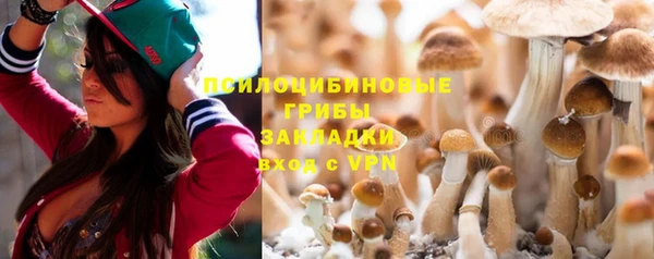 2c-b Богородицк