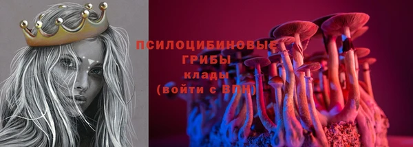 2c-b Богородицк