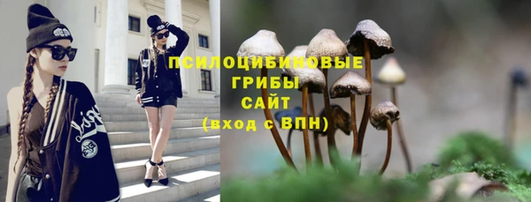 2c-b Богородицк