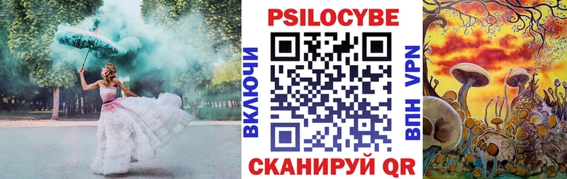 Купить где  Апшеронск  Галлюциногенные грибы Psilocybe 